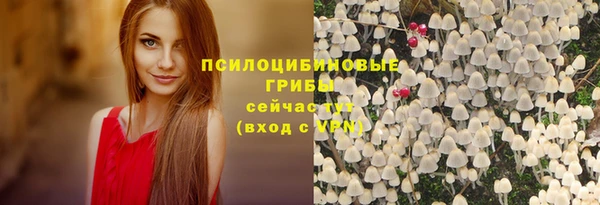 дживик Алексеевка